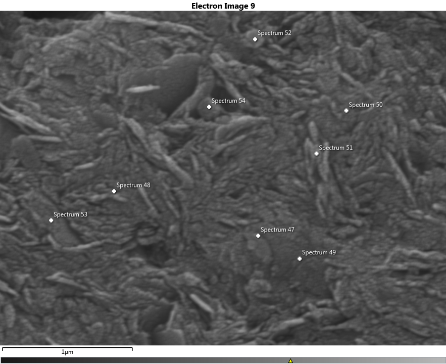 We used scanning electron microscopy and qualitative element analysis to identify the micron-scale flat plates of the Mn(+Ba) oxide minerals birnesite, romanachite, and todorokite.