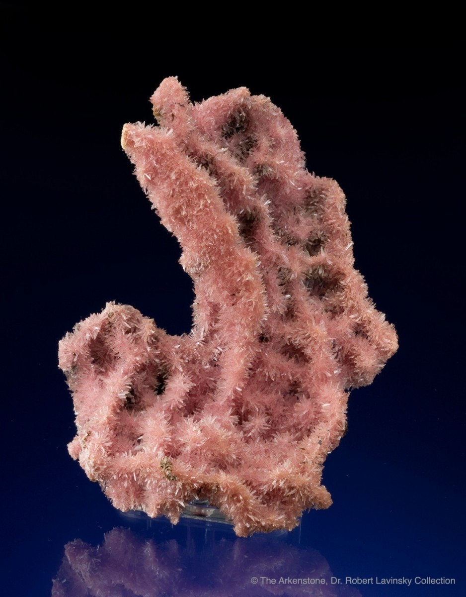 inesite-china-13cm-jb069-7